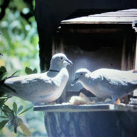 RONCE, mer à 1mn, maison 90m2, à 10mn port !