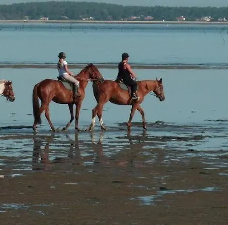 Ronce, Mer A 1Mn, Maison 90M2, Saison Du Mimosas ! * 론세레뱅