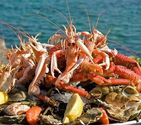 RONCE, mer à 1mn, maison 90m2, à 10mn port ! Hébergement de vacances