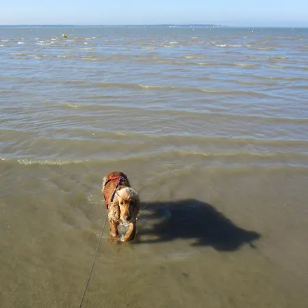 Сasa de vacaciones RONCE, mer à 1mn, en XXL,déplacement pro !