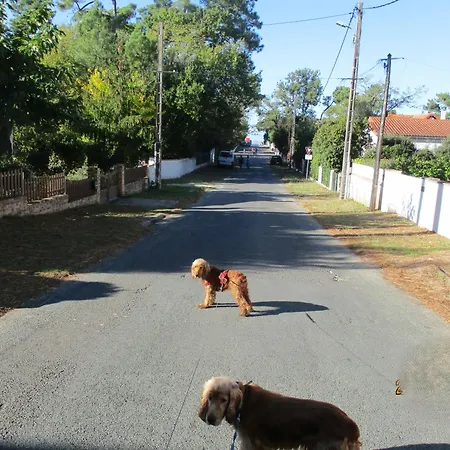 RONCE, mer à 1mn, maison 90m2, à 10mn port ! Hébergement de vacances Ronce-les-Bains