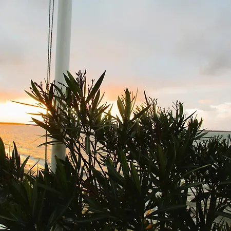 Ronce, Mer A 1Mn, Maison 90M2, Saison Du Mimosas ! 펜션 론세레뱅