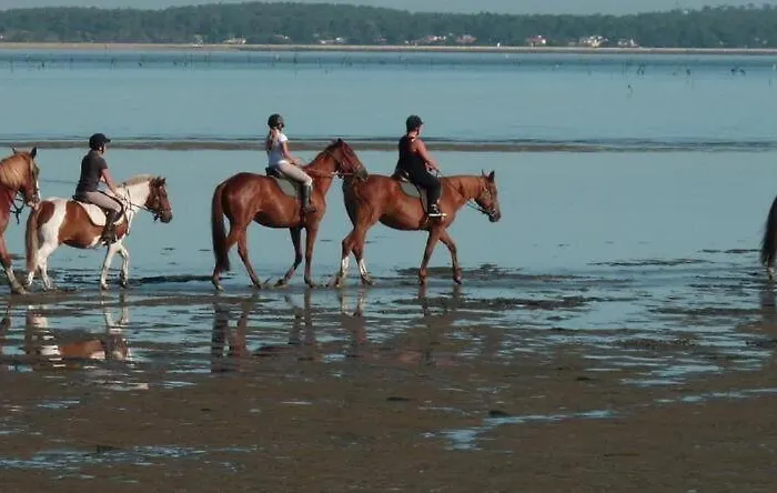 RONCE, mer à 1mn, en XXL,déplacement pro ! * Ronce-les-Bains