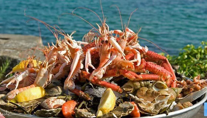 RONCE, mer à 1mn, en XXL,déplacement pro ! Сasa de vacaciones