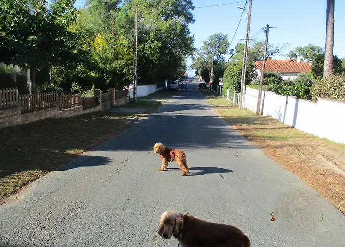 RONCE, mer à 1mn, en XXL,déplacement pro ! Сasa de vacaciones Ronce-les-Bains