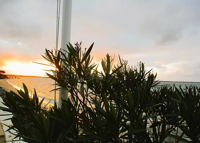 RONCE, mer à 1mn, en XXL,déplacement pro ! Сasa de vacaciones Ronce-les-Bains